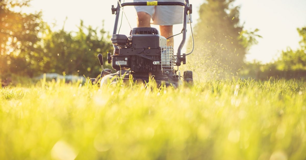 Kluczowe kwestie przy zakupie maszyn rolniczych do trawy